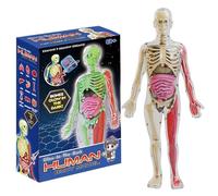 imFreienawn Human Body Model for Kids, Glow in The Dark Realistic Human Anatomy Model, DIY Detachable Body, Educational Anatomy for Kids GiftsHuman for