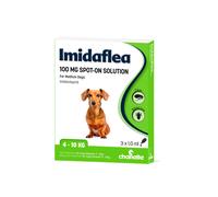 ImidaFLEA Spot-On Solution for Cats, Rabbits and Dogs - Medium Dog - 3 Pipettes