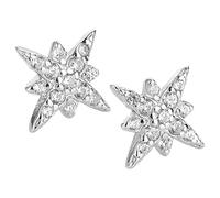 IMIKEYA 1 Pair Earrings for Women Stylish Ear Studs for Daily Wear Hypoallergenic Accessories for Friends Loved Ones Ear Decor Platinum Color