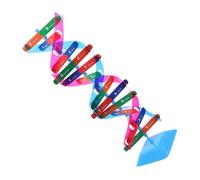 IMIKEYA 1 Set Dna Model Kit Double Helix Structure Assembly Interactive Science Learning Tool for Genetics Education for Middle and High School Students