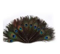 IMIKEYA 100pcs Peacock Animal Birds Craft with Big Peacock Eye for DIY Crafts Dreamcatcher Making Home Wedding Holiday Dress Decor 25-30cm