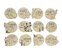IMIKEYA 12pcs Photo Cards Cute Animal Growth Announcement Signs for Newborn Memory Capture for Showers and Gender Reveals
