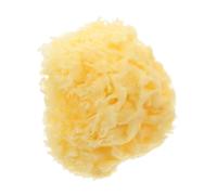 IMIKEYA 1PC Natural Seaweed Bath Sponge Honeycomb Wash Sponge for Adults Gentle Exfoliation Chemical for Bath Care and Skin Cleansing