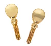IMIKEYA 2pcs Copper Flute Head Screws Easy to Install High Hardness Golden Flute Accessories Practical Music Supplies for Wind Instruments