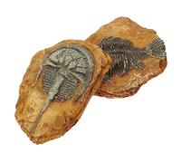IMIKEYA 2Pcs Decorative Terrarium Decors for Reptiles Realistic Fossil Ornaments for Snake Lizard Terrarium Durable Stain Resistant Safe for Pets Unique Atmosphere