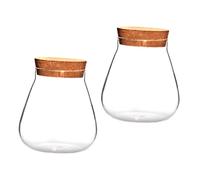 IMIKEYA 2pcs Micro Landscape Vases Glass Plant Containers for Hydroponics and Succulents Cork Stopper Design for Home Decor and Diy Terrarium Projects