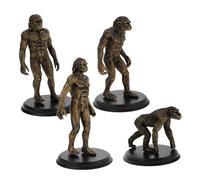 IMIKEYA 4pcs Model Human Statue Primitive Human Models Human Body Model Realistic Evolution Layout Props Teaching Aid Human Evolution Model Golden Plastic