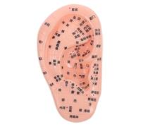 IMIKEYA Ear Zone Simulation Model for Reflexology and Acupuncture Training Human Ear Reflexology Display for Enhanced Learning Tcm Education and Massage Therapy