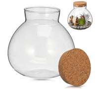 IMIKEYA Glass Terrarium with Cork Lid, Small Clear Plant Terrarium Jar for Succulent Moss and Fern, Micro Landscape Bottle for Home Garden Office Desktop Decoration