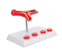 IMIKEYA Realistic Human Blood Vessel Model for Teaching and Learning Accurate Cardiovascular Anatomy Display User-friendly Educational Tool for Medical Students and Clinical Research