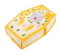 IMIKEYA Science Plant Cell Model Display Plant Cell Teaching Model Educational School Supplies