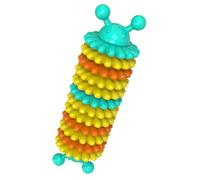 IMIKEYA Tpr Pet Dog Chew Resistant to Bite with Simple Modeling Shape for Playing and Pet Chewing, Helps Clean Teeth and Supports Healthy Puppy Teeth Cleaning