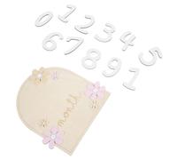IMIKEYA Wooden Door Sign Monthly Progress Cards Birth Month Markers Keepsake for Birthday Party Decor Shower Natural Material Sides Printing