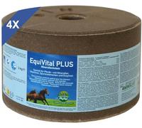 imima Salt Licks for Horses - EquiVital PLUS Mineral Lick Set 4 x 3kg - Supports Immune System, Growth, Fertility - Horse Mineral Lick with Natural Iodine