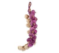 Imitated Garlic Strings 2pcs Foams Realistic Farm Vegetable Models