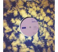 Immersion Living On An Island - Sealed UK 10" vinyl single record VWM52 Swim 2016