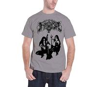 Immortal Battles In The North offiziell Herren Nue Grau T Shirt