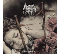 Immortal Bird - Sin Querencia