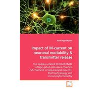 Impact of M-current on neuronal excitability: The epilepsy-related KCNQ2/KCNQ3 voltage-gated potassium channels (M-channels) in hippocampal neurons: Electrophysiology and immunocytochemistry