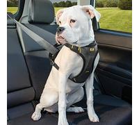 Kurgo Vehicle Safety Harness for Dogs, Universal Seat-belt Attachment via Integrated Loops, Black/Charcoal (X-Large)