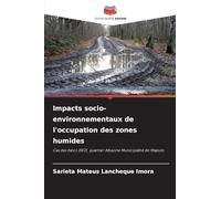 Impacts socio-environnementaux de l'occupation des zones humides: Cas des blocs 20/21, quartier Albazine Municipalité de Maputo