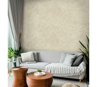 Impera Italia Tintoretto - Matt, Venetian Plaster Effect, Wall Paint Bundle. Includes Paint And Primer - Covers 6 To 8 Sqm - In Colour Sesia.