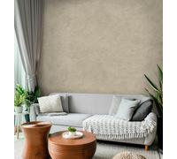 Impera Italia Tintoretto - Matt, Venetian Plaster Effect, Wall Paint Bundle. Includes Paint And Primer - Covers 6 To 8 Sqm - In Colour Oglio.