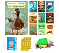 Imperial Designs 40 Pack Funny Punny Birthday Cards with Envelopes - 20 Unique Designs - Assorted Bulk Animal Birthday Cards for Kids, Office, Teacher - Greeting Cards (Medium, 4x6'', Blank Inside)