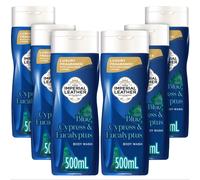 Imperial Leather Blue Cypress & Eucalyptus Invigorating Body Wash Shower Gel Signature Oil Blend, Creamy Lather, Gentle Skin Care, Bulk Buy, Pack of