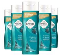 Imperial Leather Bodywash Bergamot & Sea Salt 250ml Pack of 6 | Refreshing Shower Gel with Invigorating Scent | Long Lasting Freshness & Gentle Skin Care | Daily Body Wash Set