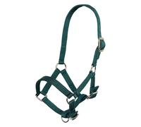 Imperial Riding Foal Halter - 3-Way Adjustable Nylon Headcollar for Foals with 20mm Strap Width & Nickel Fittings, Durable & Safe, Forest Green
