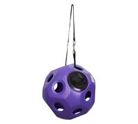 Imperial Riding Hay Ball IRH Take It Easy, Slow Feeder Ball for Horses with Suspension System, 42 x 42 cm, Purple, 1 Size