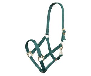 Imperial Riding Headcollar Economic, Heavy Duty 25mm Nylon Halter Adjustable Sliding Buckle, Lobster Claw Strap, Durable & Easy Care for Training, Stable & Everyday Wear, Forest Green, Pony