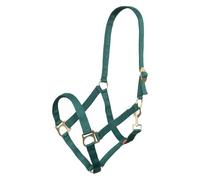 Imperial Riding Headcollar Economic, Robust 25 mm Nylon Halter Adjustable Sliding Buckle, Carabiner Throat Strap, Durable & Easy Care for Training, Stable & Everyday Life, Forest Green, Cob