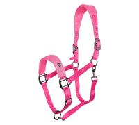 Imperial Riding Headcollar IRH-Cloud Dancer, Breathable Mesh Halter Made of Polyester, Lightweight & Comfortable, Adjustable with Buckle & Carabiner, Matches the Cloud Dancer Collection, Bright Pink