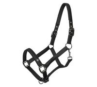 Imperial Riding Headcollar IRH-Rebel - Shiny Satin Polyester, Heavy Duty Nylon Base, Black Metal Fittings & Logo Coin Detail, Stylish Premium Headcollar for Stable & Willow, Black, Pony