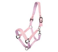 Imperial Riding Headcollar IRH-Sparkle - Glittery Lurex Trim, Satin on Nose & Neck, Adjustable Nylon Halter Metal Fittings for Glamorous Horses, Ballerina, Full
