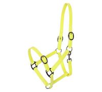 Imperial Riding Headcollar IRH Super-Proof Glossy, Waterproof & Dirt-Resistant Nylon Halter with Shiny Finish, Robust Design with Adjustable Seat and Carabiner, Lemon, Cob