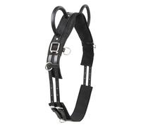 Imperial Riding IRH Vidal, Lunging and Vaulting Belt with Two Handles, Black, Shetty