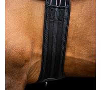 Imperial Riding IRHBasic Jumping Strap Anatomical Stud Belt with Breathable Padding and Belly Bib, Black, 85 cm