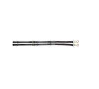Imperial Riding IRH CORE Double Elastic Leather Ties Black Pony