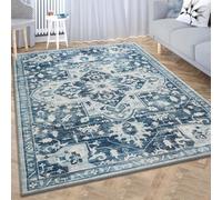 Imperial Rooms Rugs Living Room 120 x 170 cm Traditional Design Vintage Rug for Bedroom - Fluffy Large Area Rugs - Easy to Clean Non Slip Washable Rug Office, Kids Room (Tranquil)