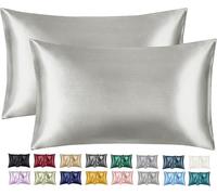 Imperial Rooms Satin Pillow Cases 2 Pack - Soft as Silk Pillowcases for Hair and Skin, Gifts for Women - Silver Pillow Covers with Envelope Closure (50x75 cm)