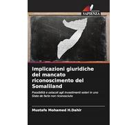 Implicazioni giuridiche del mancato riconoscimento del Somaliland: Possibilità e ostacoli agli investimenti esteri in uno Stato de facto non riconosciuto