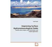 Improving Surface Hydrometeorological Fields: Satellite data analysis, data assimilation and model application