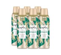 Impulse Hint of Musk Women's Body Spray, 150ml, Pack of 6 | Bergamont & Musk Fragrance, Floral Woody Blend, All-Day Freshness