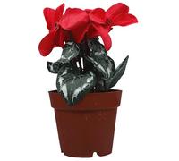 IMUSINICE Artificial Plant Adornment Red Silk Cloth Bonsai Decor | Tabletop Displays, Flat Bottom Design, Smooth Finish and Leaf Texture, Vases