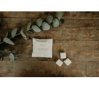 Imvelo Candle Co Wax Melts - Bora Bora Island in White
