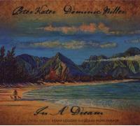 In a Dream by Peter Kater & Dominic Miller (2009-03-03)