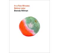 In a Few Minutes Before Later (Wesleyan Poetry Series)